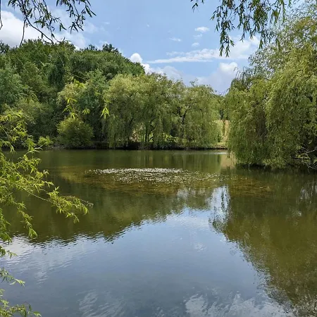 بيت للعطل Maison Spacieuse En Pleine Nature Avec Piscine, Equipements De Loisirs Et Randonnees A Proximite - Fr-1-653-105 *